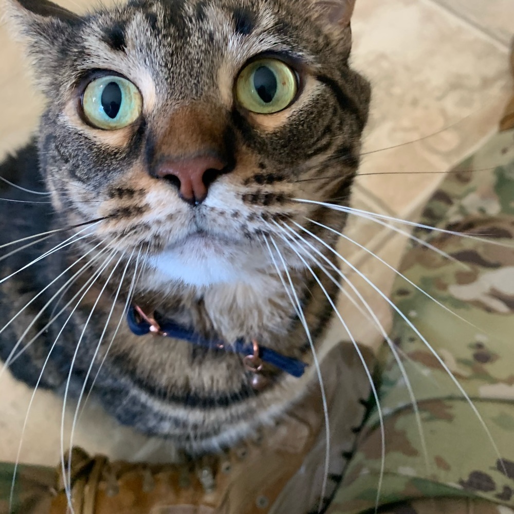 Meet your Posher, Cristian